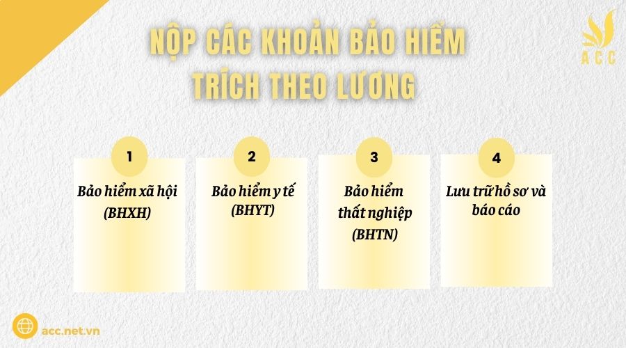 Nộp các khoản bảo hiểm trích theo lương 