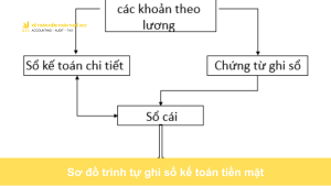 Sơ đồ trình tự ghi sổ kế toán tiền mặt