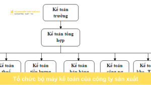 Tổ chức bộ máy kế toán của công ty sản xuất