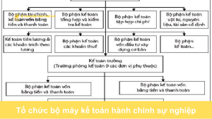 Tổ chức bộ máy kế toán hành chính sự nghiệp