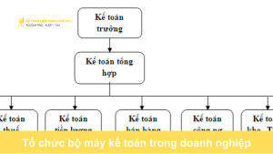 Tổ chức bộ máy kế toán trong doanh nghiệp