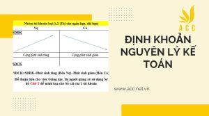 Hướng dẫn định khoản môn nguyên lý kế toán mới nhất