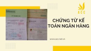 Chứng từ kế toán ngân hàng chủ yếu bao gồm nội dung nào