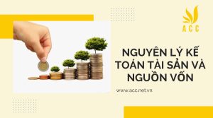 Tài sản và nguồn vốn trong nguyên lý kế toán