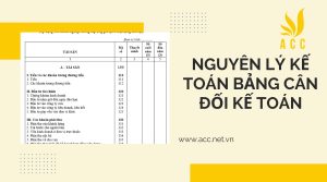 Bảng cân đối kế toán nguyên lý kế toán mới nhất