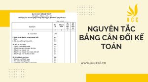 Bảng cân đối kế toán là gì? Có nội dung và ý nghĩa như thế nào?