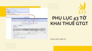 Hướng dẫn phụ lục thêm trong tờ khai thuế GTGT