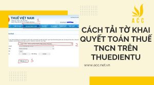 Hướng dẫn chi tiết về tờ khai quyết toán thuế TNCN online