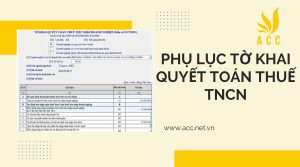 Quy định về phụ lục tờ khai quyết toán thuế tncn