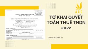 Chi tiết mẫu tờ khai quyết toán thuế tndn 2022