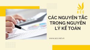 Các nguyên tắc trong nguyên lý kế toán