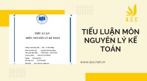 Tiểu luận môn nguyên lý kế toán chi tiết 