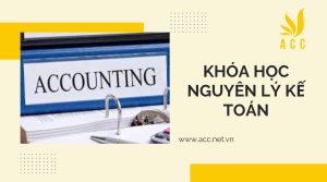 Khóa học nguyên lý kế toán hiệu quả cho người mất gốc