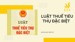 Luật thuế tiêu thụ đặc biệt mới nhất hiện nay