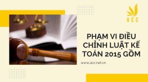 Phạm vi điều chỉnh luật kế toán 2015 chi tiết nhất