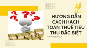 Hướng dẫn cách hạch toán thuế tiêu thụ đặc biệt