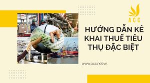 Hướng dẫn kê khai thuế tiêu thụ đặc biệt