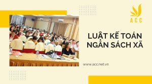 Luật kế toán ngân sách xã chi tiết nhất 2023