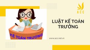 Luật kế toán trưởng được quy định như thế nào?