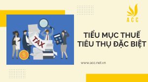 Hướng dẫn về các tiểu mục thuế tiêu thụ đặc biệt