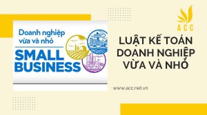 Luật kế toán doanh nghiệp vừa và nhỏ chi tiết nhất