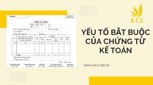 Yếu tố bắt buộc của chứng từ kế toán