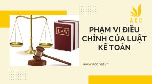 Phạm vi điều chỉnh của luật kế toán như thế nào?