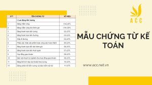 Mẫu chứng từ kế toán