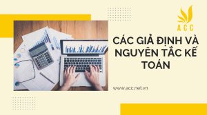 Các giả định và nguyên tắc kế toán quang trọng bạn nên biết 