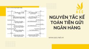 Các nguyên tắc kế toán tiền gửi ngân hàng bạn cần nắm rõ