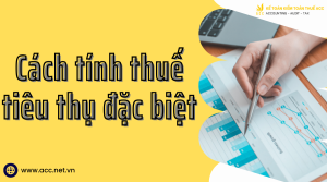 cách tính thuế tiêu thụ đặc biệt