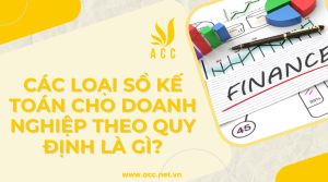 Các loại sổ kế toán cho doanh nghiệp theo quy định là gì