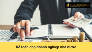 Kế toán cho doanh nghiệp nhà nước