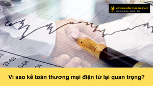 Vì sao kế toán thương mại điện tử lại quan trọng?