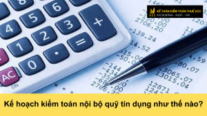 Kế hoạch kiểm toán nội bộ quỹ tín dụng như thế nào?