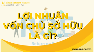 Lợi nhuận vốn chủ sở hữu là gì