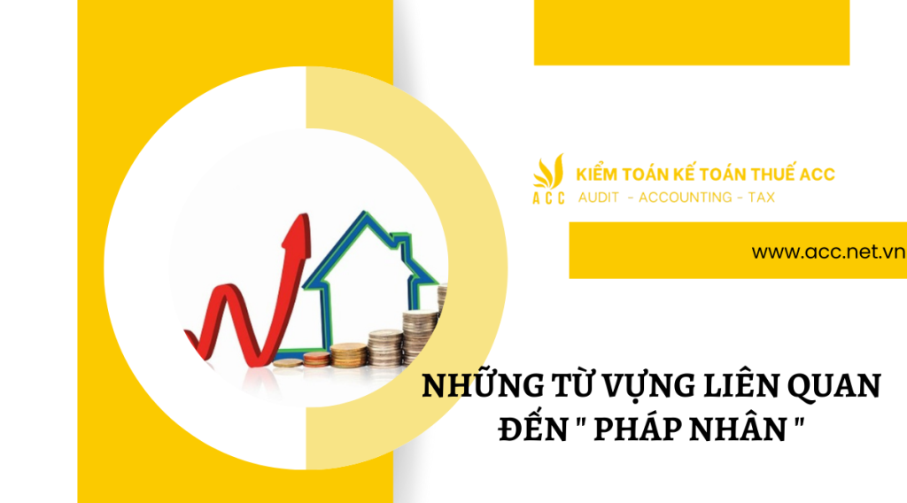 Những từ vựng liên quan đến " pháp nhân " 