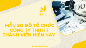 Mẫu sơ đồ tổ chức công ty TNHH 1 thành viên hiện nay 