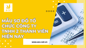 Mẫu sơ đồ tổ chức công ty TNHH 2 thành viên hiện nay 