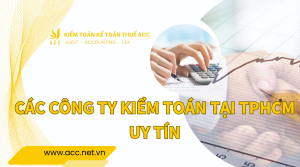 Các công ty kiểm toán tại TPHCM uy tín 