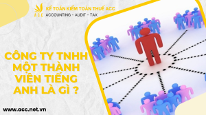 Công ty TNHH một thành viên tiếng anh là gì ?