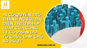 Ai có quyền trở thành người đại diện theo pháp luật của công ty cổ phần do tổ chức làm chủ sở hữu?