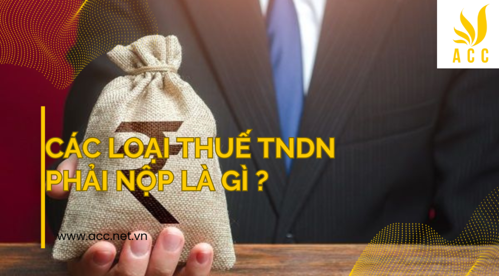 Các loại thuế TNDN phải nộp là gì ? 