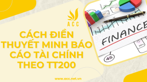 Cách điền thuyết minh báo cáo tài chính theo tt200