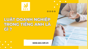 Luật doanh nghiệp trong tiếng anh là gì ?