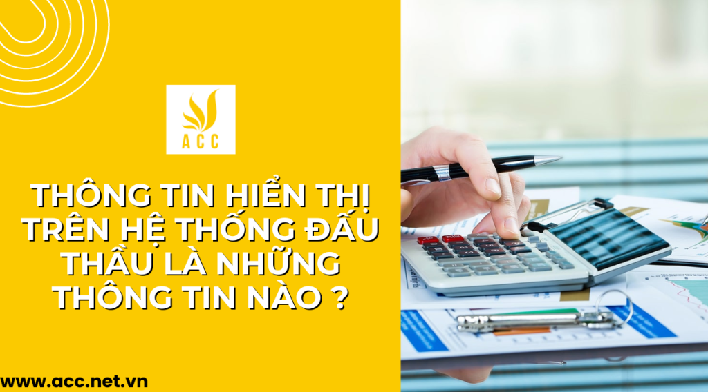 Thông tin hiển thị trên hệ thống đấu thầu là những thông tin nào ?