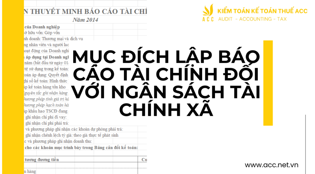 Mục đích lập báo cáo tài chính đối với ngân sách tài chính xã