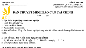 Mẫu thuyết minh báo cáo tài chính b09-dn