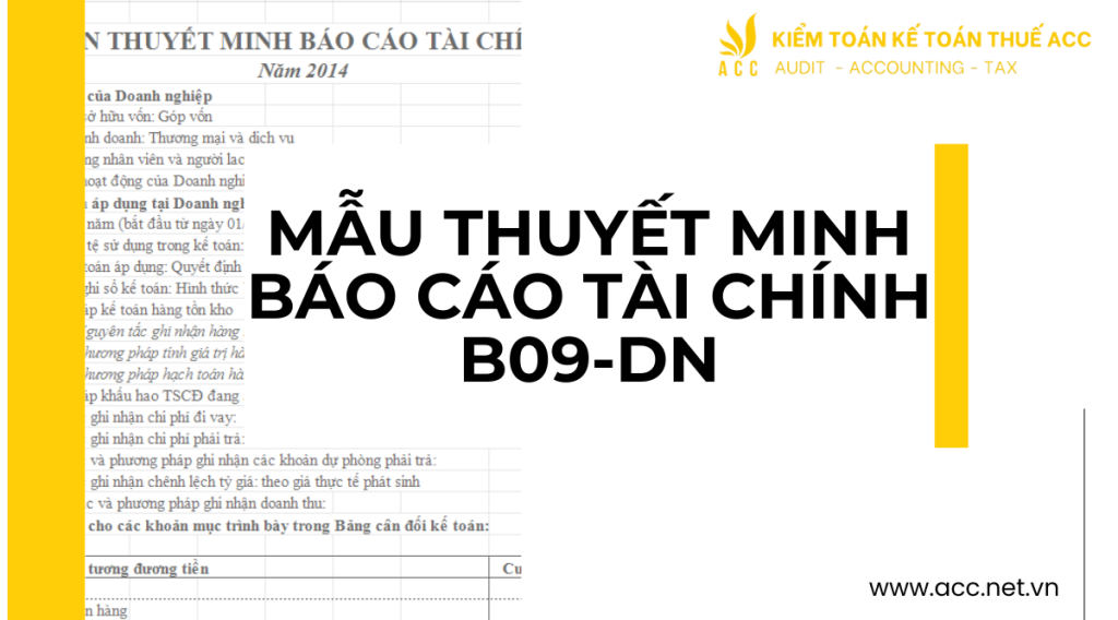 Mẫu thuyết minh báo cáo tài chính b09-dn