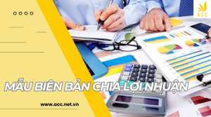 Mẫu biên bản chia lợi nhuận